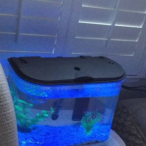 Meet your Posher, Joyce